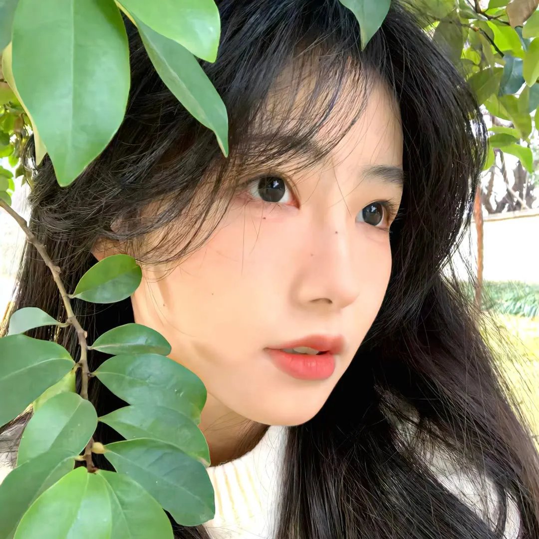 天梯粤语