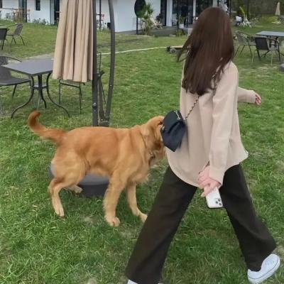 林祭