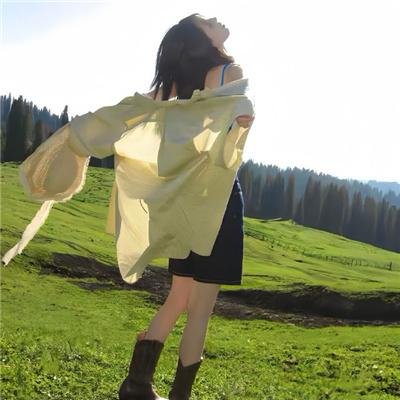 监察局长